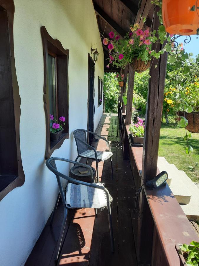 Casa Bunicilor Vila Ciprian Porumbescu Exterior foto