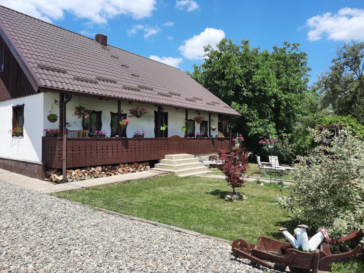 Casa Bunicilor Vila Ciprian Porumbescu Exterior foto