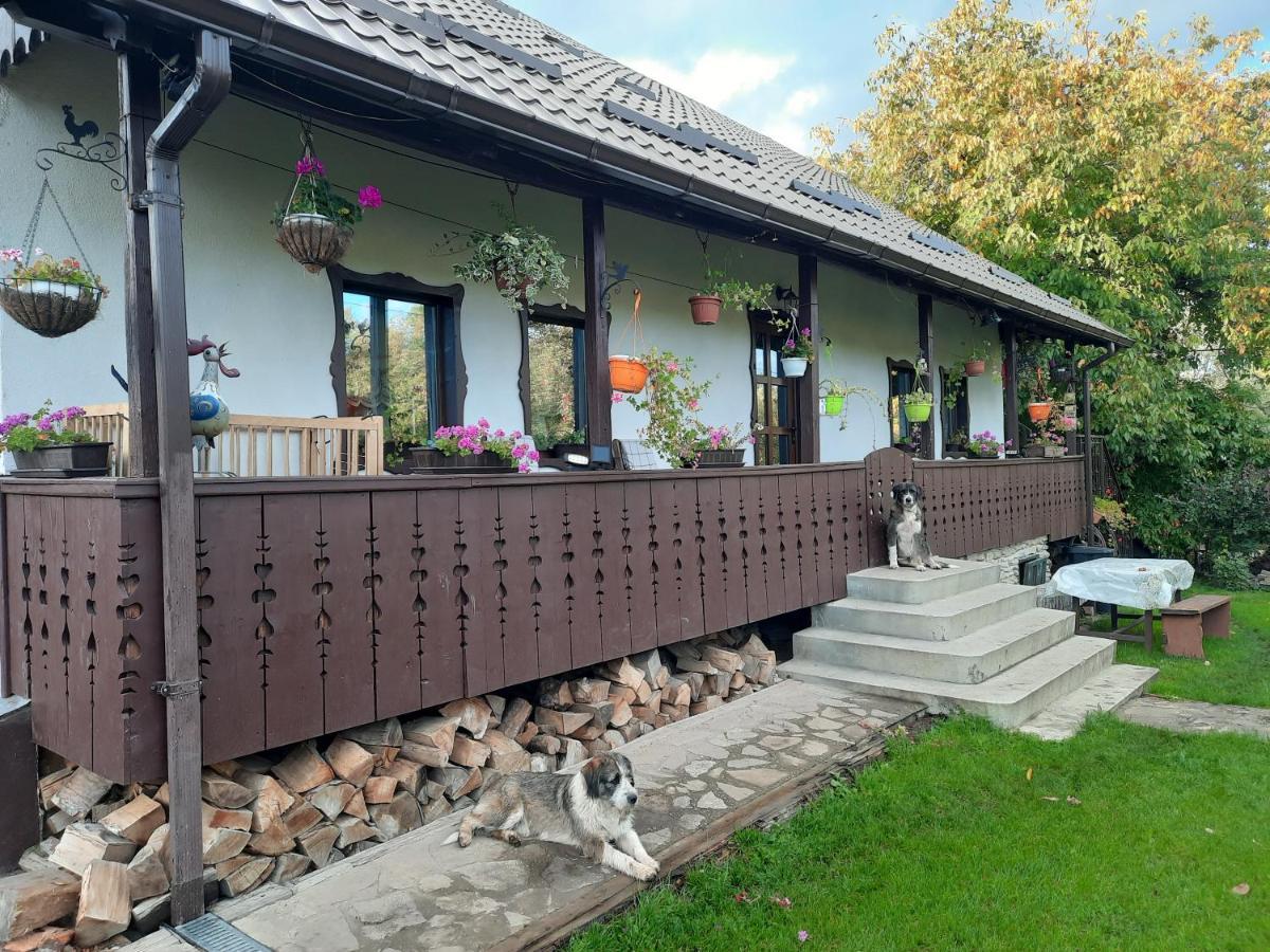 Casa Bunicilor Vila Ciprian Porumbescu Exterior foto