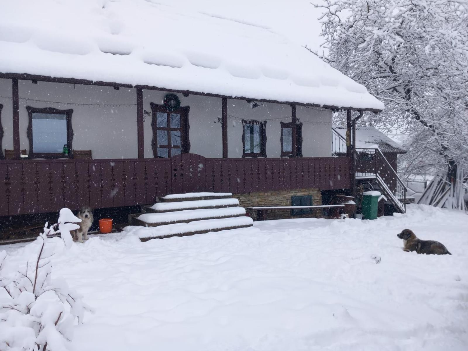 Casa Bunicilor Vila Ciprian Porumbescu Exterior foto