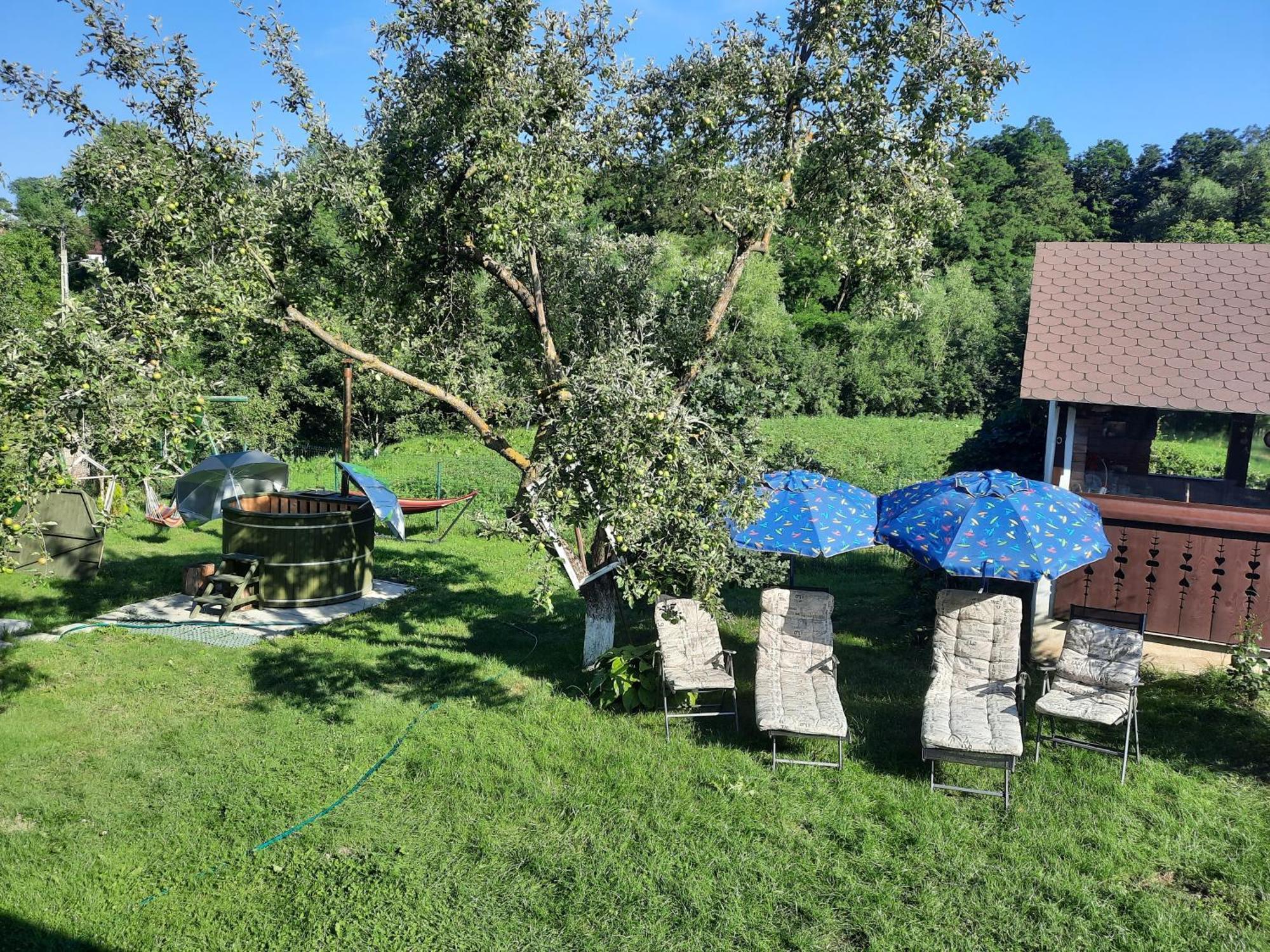 Casa Bunicilor Vila Ciprian Porumbescu Exterior foto